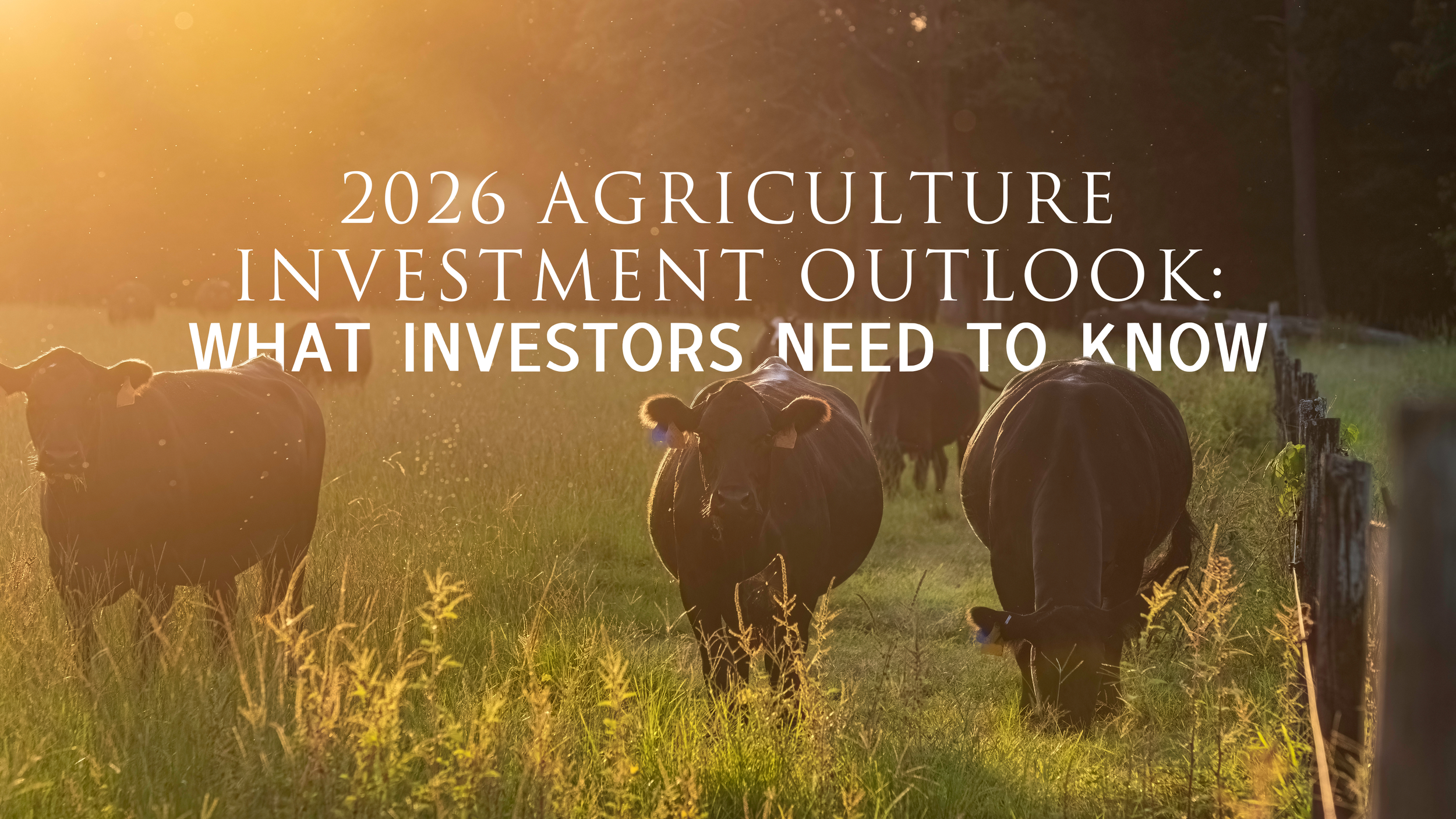 Investment Trends 2026 What Investors Need to Know